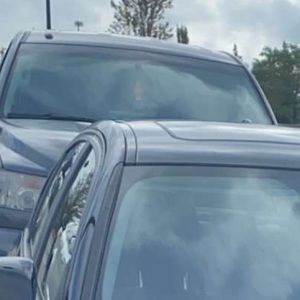 Meet your Posher, Henry